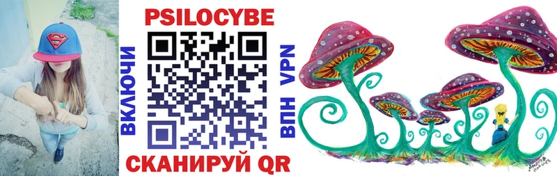 Купить где  Михайлов  Галлюциногенные грибы Psilocybine cubensis 